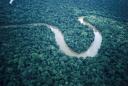 آمازون ؛ طولاني‌ترين رودخانه‌ي جهان!