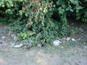 زباله هاي به جا مانده در جنگلهاي فندوق لو - اردبيل … چرا؟!