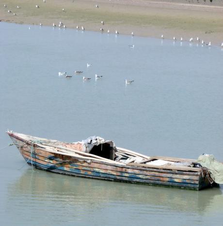 قایقی باید ساخت ...