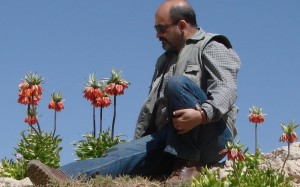 لاله های سرنگون در تنگ زندان - سبزکوه