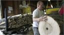 Gerry Williams is a saw operator at a Larimer & Norton lumber mill in Russell, Pa., where wood from ash trees is shaped into baseball bats