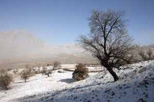 برخی از نواحی خوزستان پس از 12 سال سپید پوش شد ...