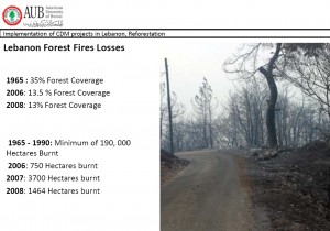 ابعاد نابودی جنگله در کشور یک میلیون هکتاری لبنان: کلیک کنید تا بزرگتر دیده شود