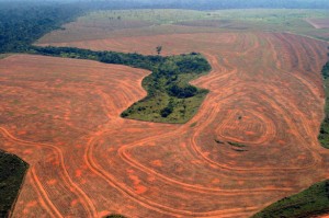 aerial-view-of-deforestat-