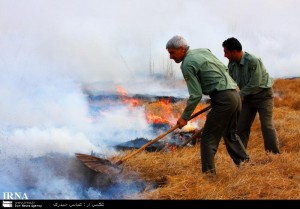 باز هم حديث تكراري بيل و كلنگ در مواجهه با آتش كه 150 هكتار از قلمرو حله را نابود كرد!