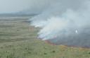 Flames grow during a late May fire at the north end of Lake Okeechobee. Hundreds of acres were charred and began to sprout new growth almost immediately