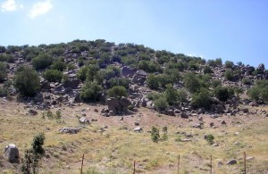 نمایی دیگر از همان ذخیره گاه در سال 1386