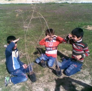 فرزندان عزیز نیره سعادتی در مراسم درختکاری