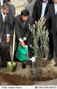 دکتر احمدی نژاد در حال غرس نهال زیتون در سال گذشته