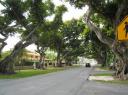 Coral Gables