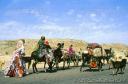 تصاویری از ایران در فوتو سرچ - کوچ عشایر