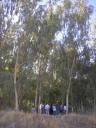 عظمت کاری که دکتر کوثر و یارانش در گربایگان فسا انجام دادند در این تصویر آشکار است.