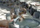 لبخند زندگی فراوان است … نمی دانم چرا اشکش هویداتر؟!