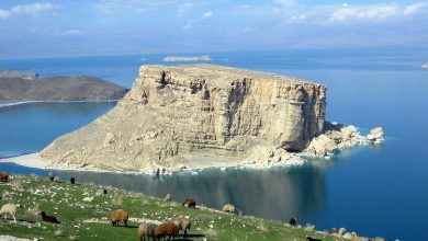 روانشناسی صدای طبیعت!