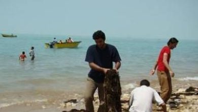 تصویری از بوشهر که امید می‌افشاند و شور می‌آفریند!