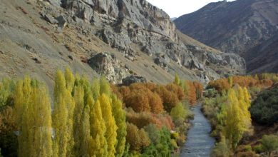 آرامستان واقعی اینجاست!