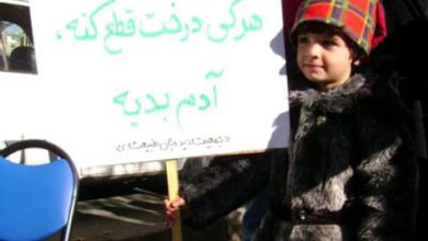 رمز بازگشت نشاط به محیط زیست وطن همین است!