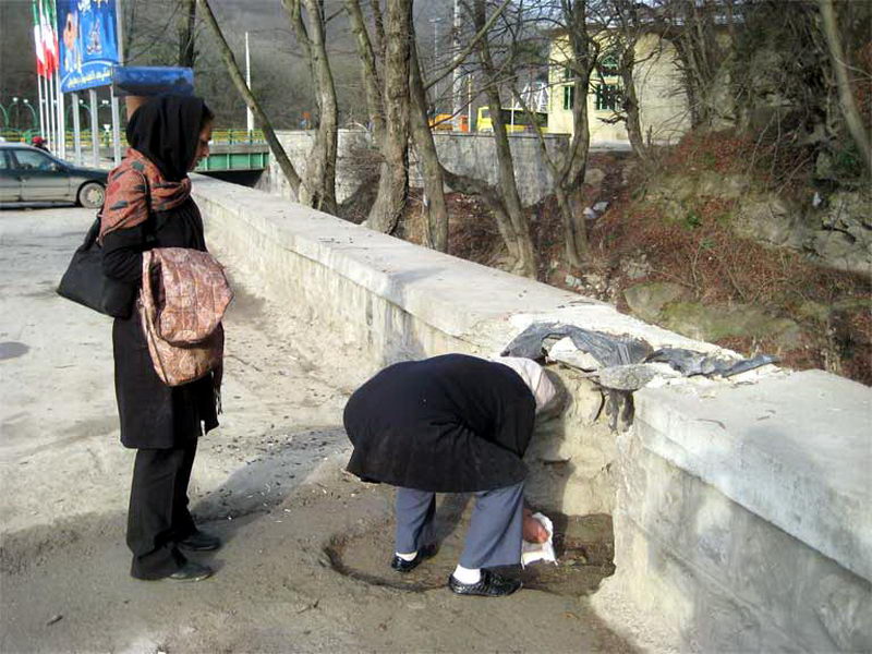 خانم کاشفی در حال انجام عملیات نجات قورباغه های عاشق