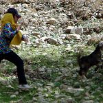 تلاش مذبوحانه از نوع نیلوفری!