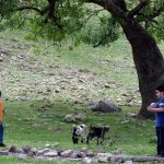 ملاحظه می کنید که من دارم توپ بازی می کنم!