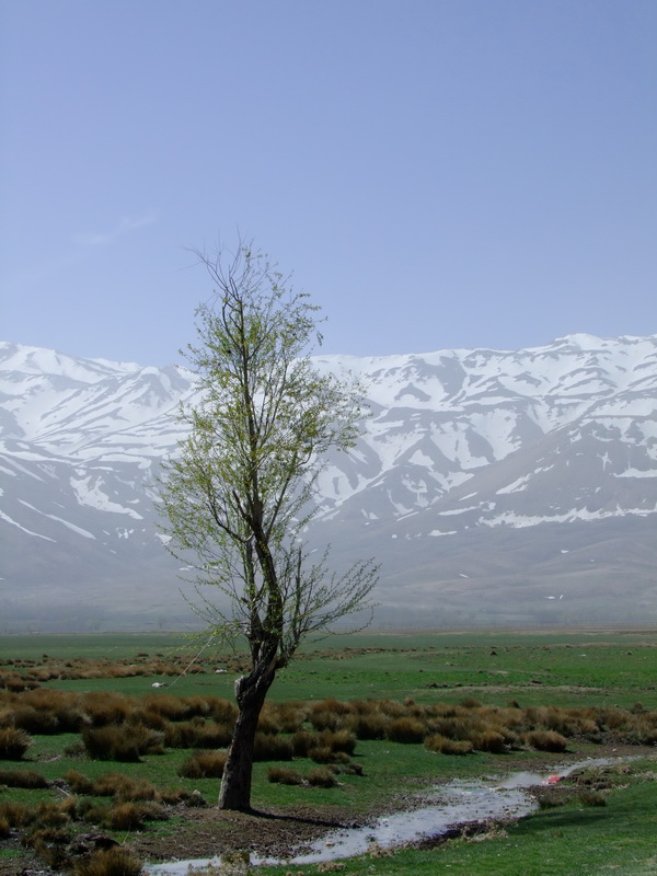 قدر این طبیعت هوش ربا را بدانیم تا همیشه خنده اش را بتوانیم درک کنیم ...