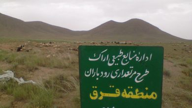 از آن دهن‌کجی تا این دهن‌کجی!