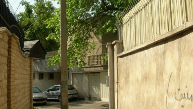 ایران؛ سرزمینی که در آن تیربرق‌ها امنیت بیشتری دارند تا درخت‌ها!