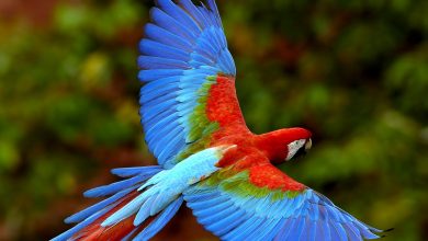 برای ماندگاری این بهشت چقدر باید هزینه داد؟