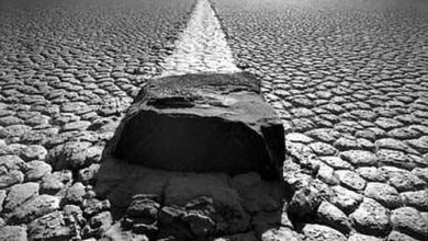 مرگ خوبه ، منتها برای همسایه!