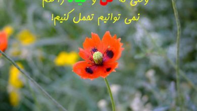 پاک‌تراشی گل و گیاه از تقویم‌های وطن!
