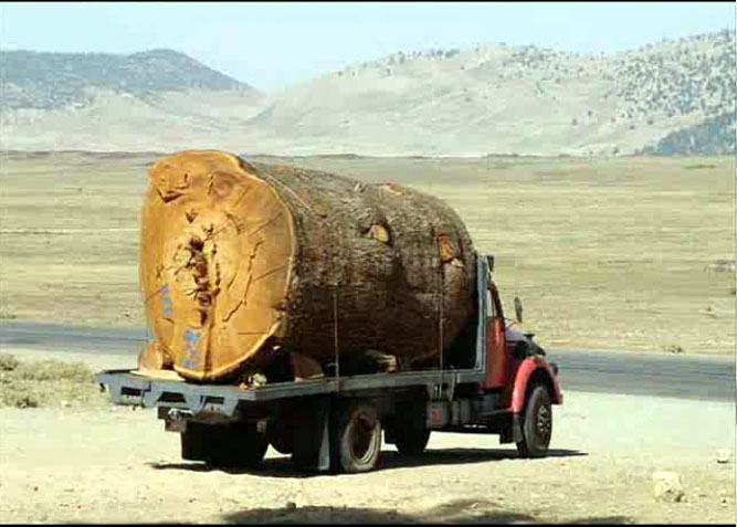 چه فکر می کنید؟!