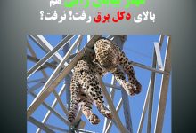 آیا سرزمینی که کُنام پلنگان و شیران شود ، ویران می شود؟!