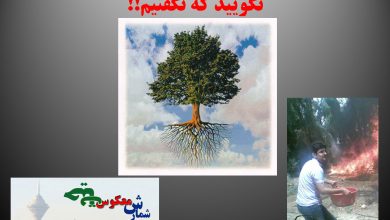هشدار! طبیعت ایران مجالی برای خودترمیمی خویش ندارد