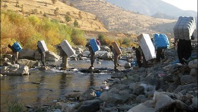چه شباهت غریبی است بین جنگل‌های کردستان و مردمان مظلومش!