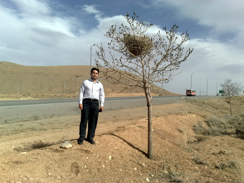 درود بر هومان عزیز ...