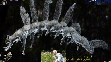 در ستایش یک پیرمرد 79 ساله که هنوز جوان است! نیست؟