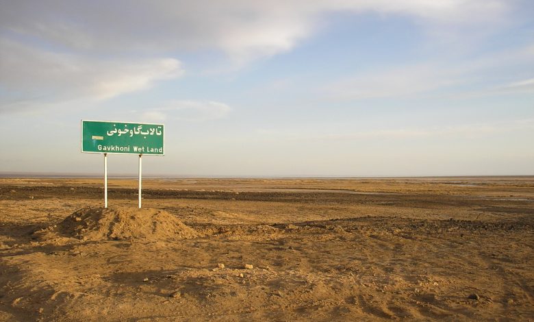 از کدام گاوخونی سخن میگوییم؟!
