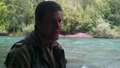 برای روباه شیدایی که در شیدا سکته کرد و رفت!