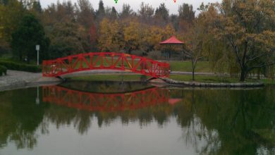 زیباترین پاییز تهران در زیباترین پردیس ایران!