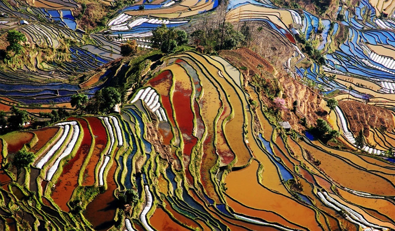 yuanyang2