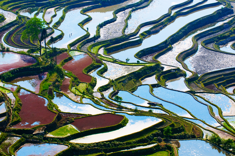 yuanyang3