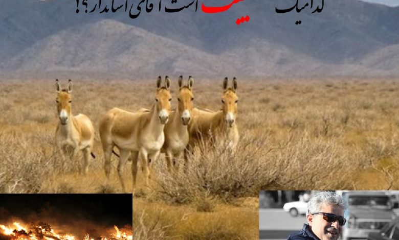 کدامیک مصیبت است جناب استاندار فارس؟!