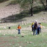 نطفه شروع عملیات بزغاله گیری در ساعت 11 صبح روز 5 فروردین!