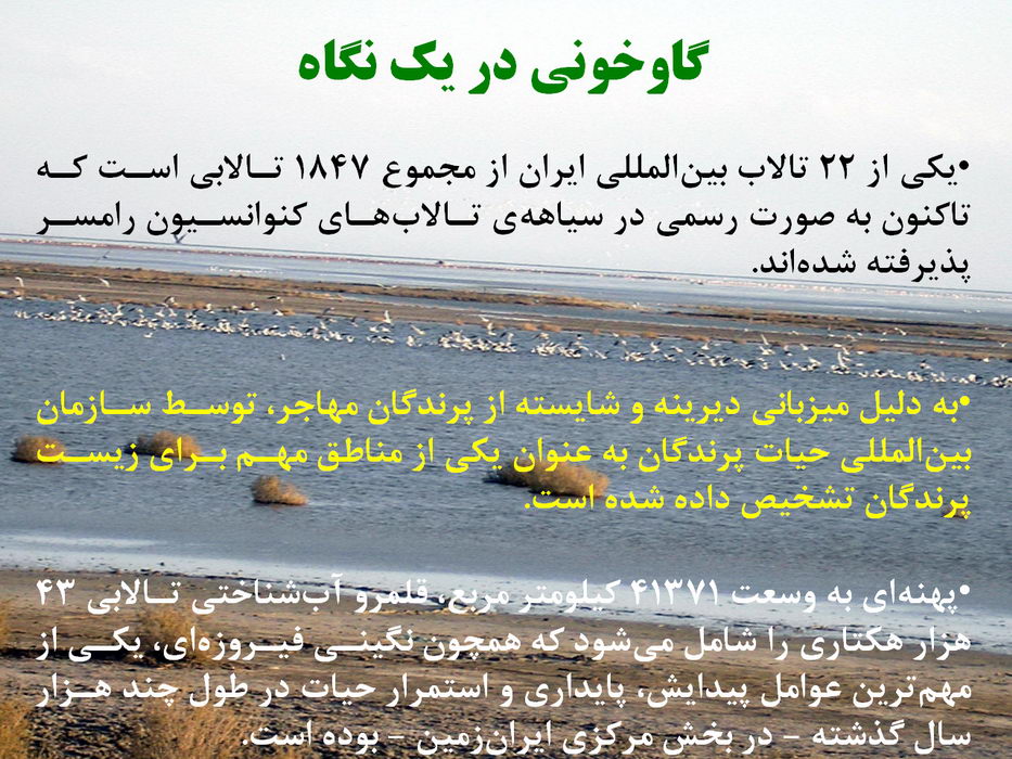 تالاب گاوخونی - بهار 1385 تالاب گاوخونی - بهار 1385