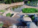 از زیبایی های باغ گیاه شناسی ملی ایران دیدن کنید - بهمن ماه ۸۶