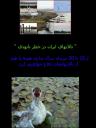 از حرکت دوم موج سبز وبلاگستان حمایت کنیم - با سپاس از محسن تیزهوش و سپهر سلیمی