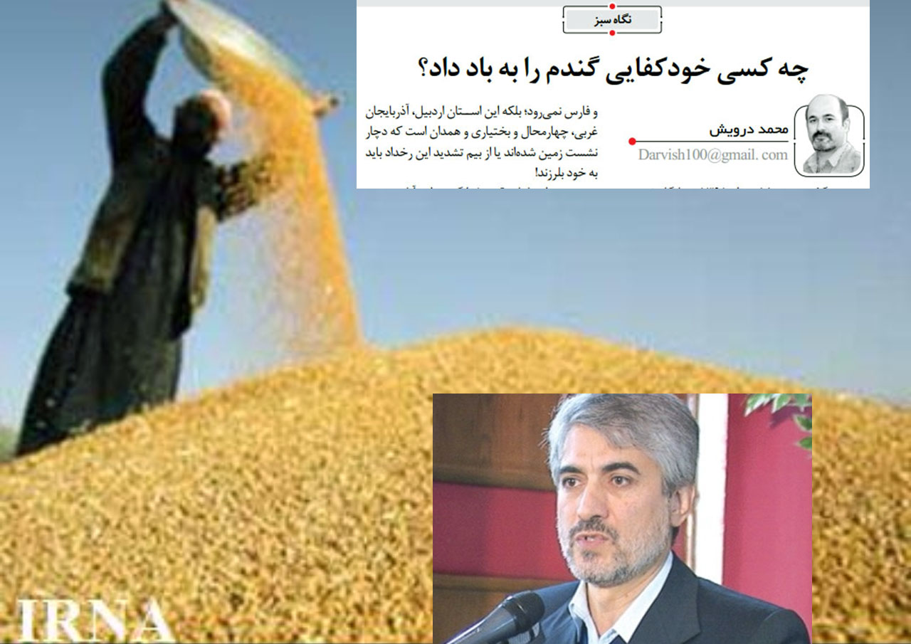 چه کسی خودکفایی گندم را به باد داد؟!