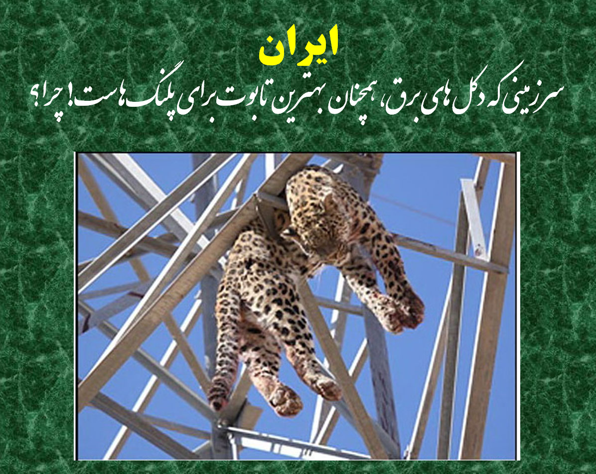چرا همچنان دکل های برق؟!!!