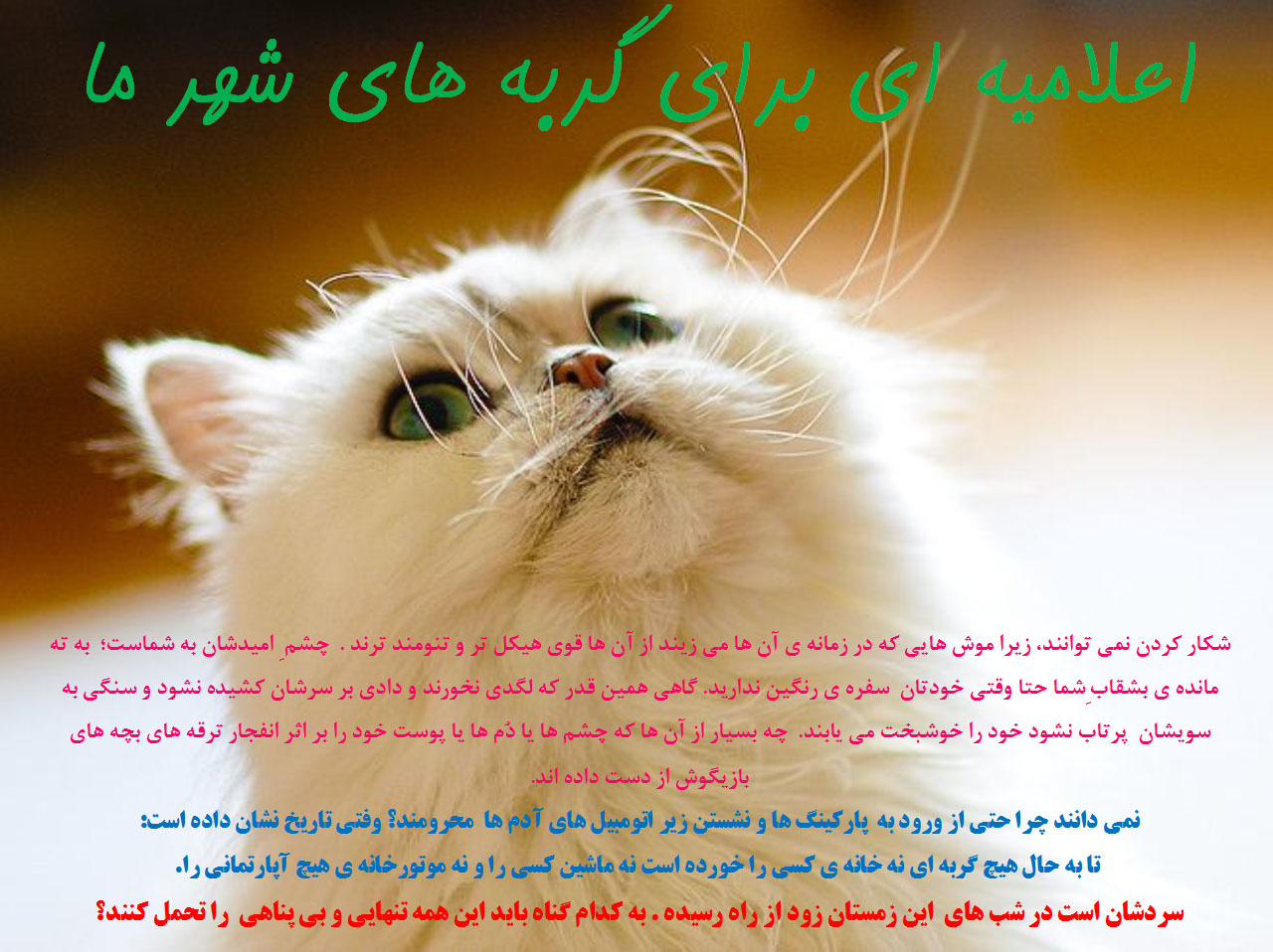 محتوای این اعلامیه را جدی بگیرید؛ خطاب فریده حسن زاده - مصطفوی با من و توست!