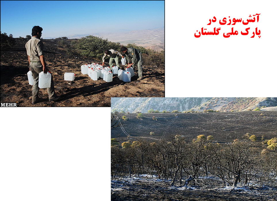چرا باید با چنین شیوه هایی به مهار آتش اقدام کرد؟! چرا باید با چنین شیوه هایی به مهار آتش اقدام کرد؟!